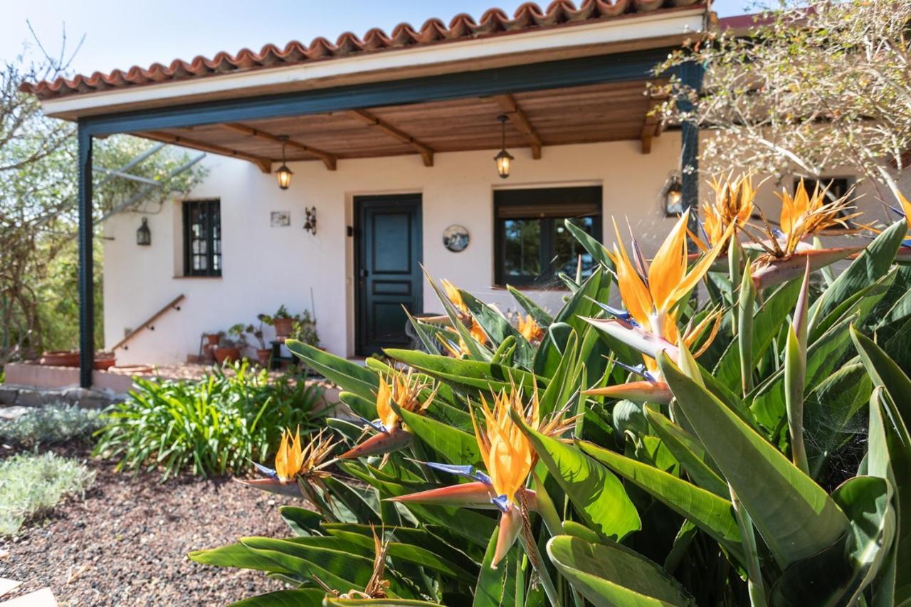 Live La Laguna Casita Vieja Eksteriør billede